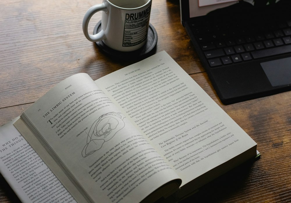 Open book on a desk — reading and research